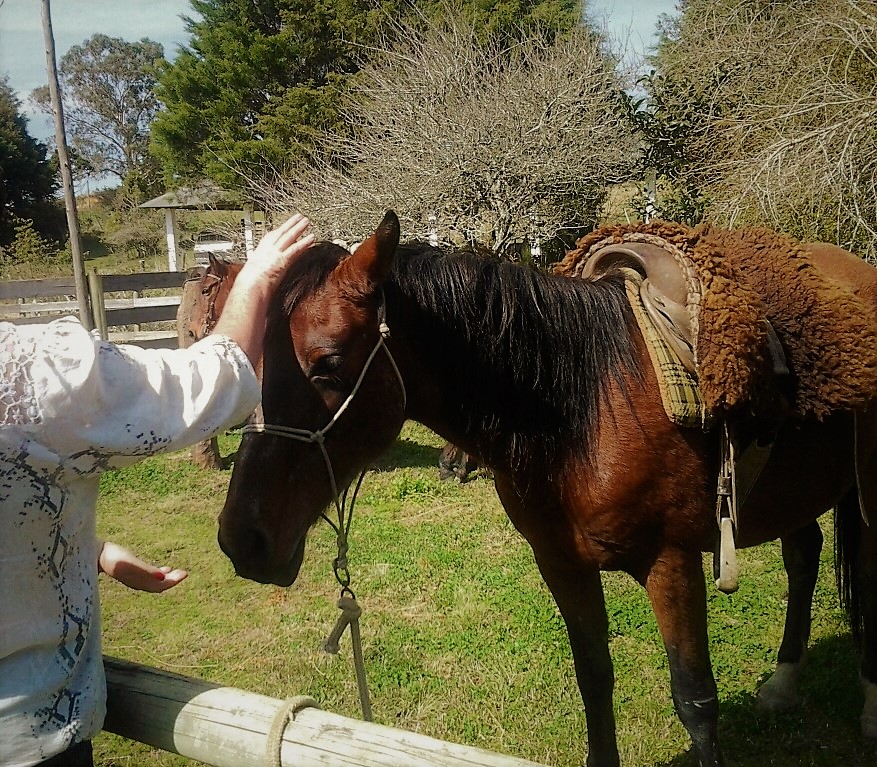 equinoterapia