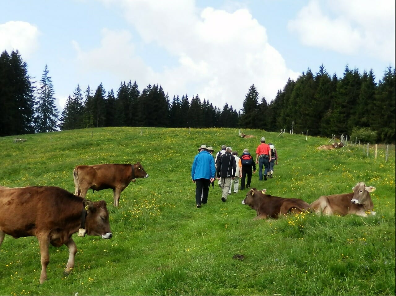 turismo rural animais