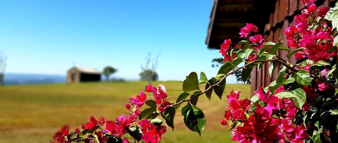 Atrativos turísticos para turismo rural