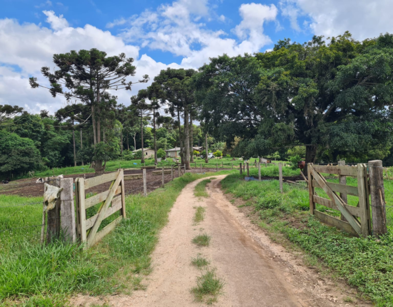 Fazenda Capão Dourado - PR