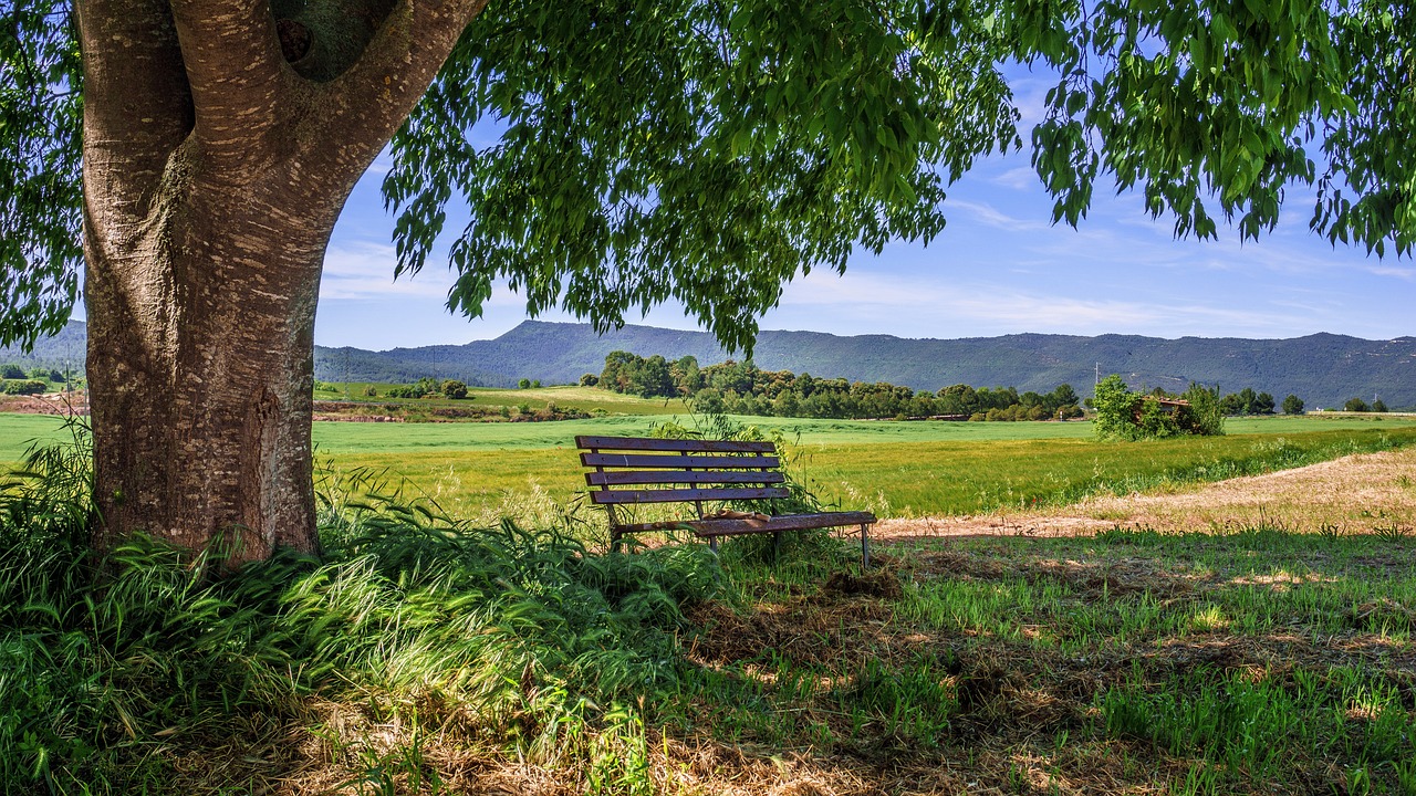 8 Erros Comuns de Quem Começa no Turismo rural